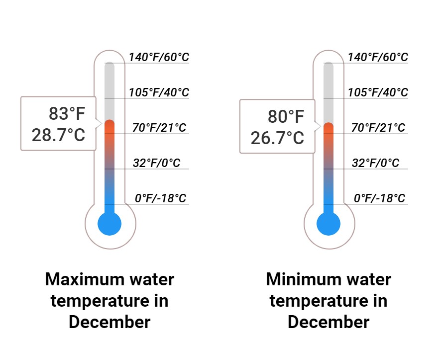 December Weather in St. Lucia 2025 Winter Sun Expert
